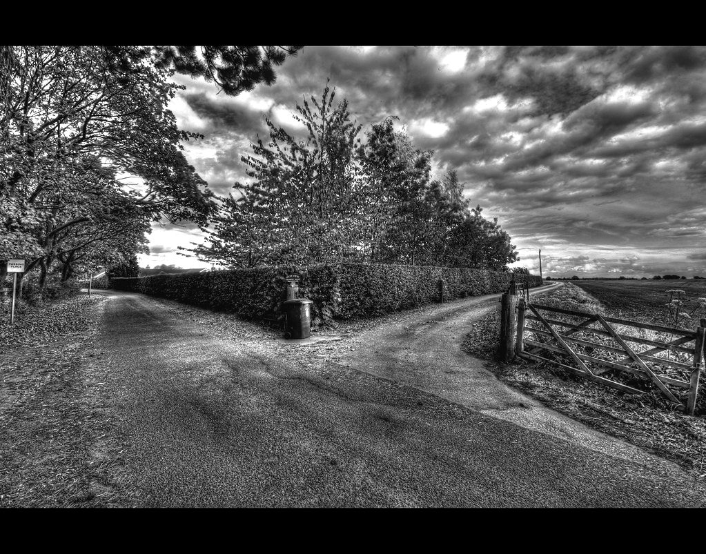A country road forking under autumn trees
