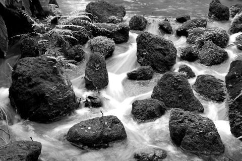 Water rushing between mossy rocks in a stream