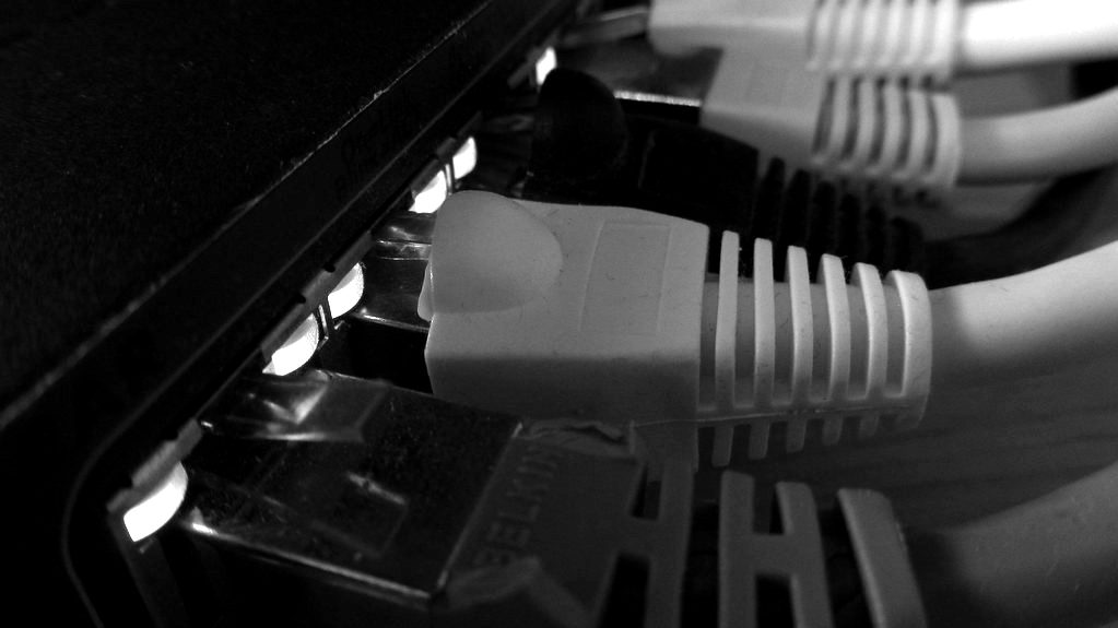 Network cables plugged into a switch with green status lights